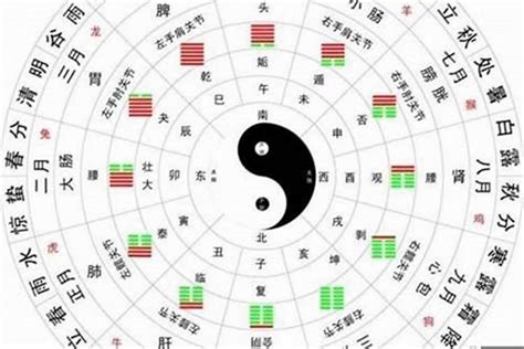 八字表格 北斗七星 時間